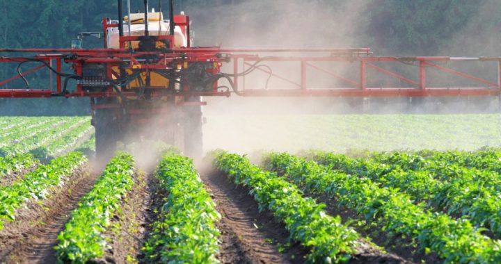 Vai pesticīdus saņemam no importa pārtikas? Pētījumi jāturpina…